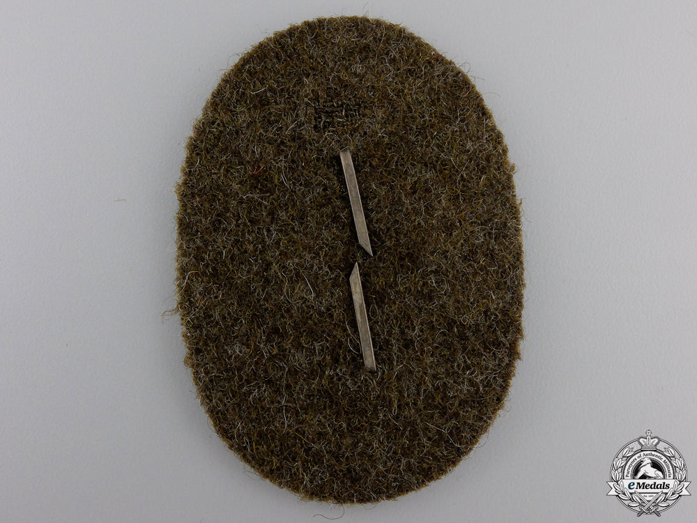 a_rare_former_member_of_sa_standarte_feldherrnhalle_insignia_img_02.jpg553271d448a23