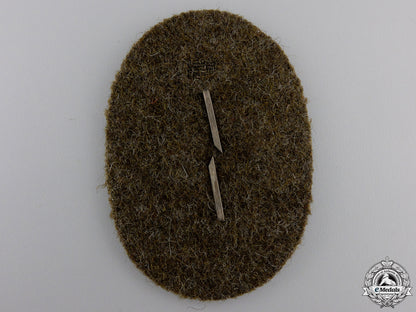a_rare_former_member_of_sa_standarte_feldherrnhalle_insignia_img_02.jpg553271d448a23