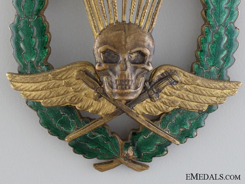 a_rare_wwii_hungarian_master_parachutist’s_breast_badge_img_02.jpg5457f0f54d24b