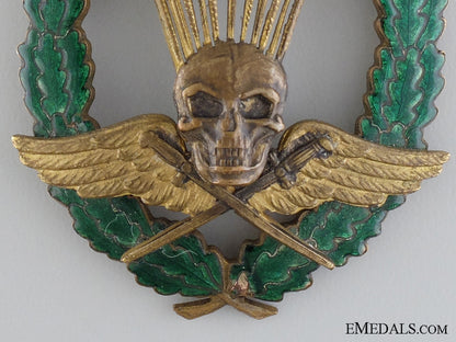 a_rare_wwii_hungarian_master_parachutist’s_breast_badge_img_02.jpg5457f0f54d24b