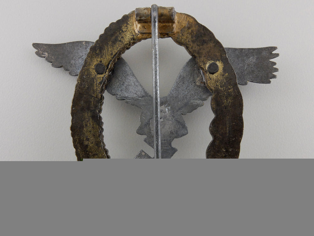a_recovered_luftwaffe_pilot_observer_badge_by_assmann_img_02.jpg556726198f12b