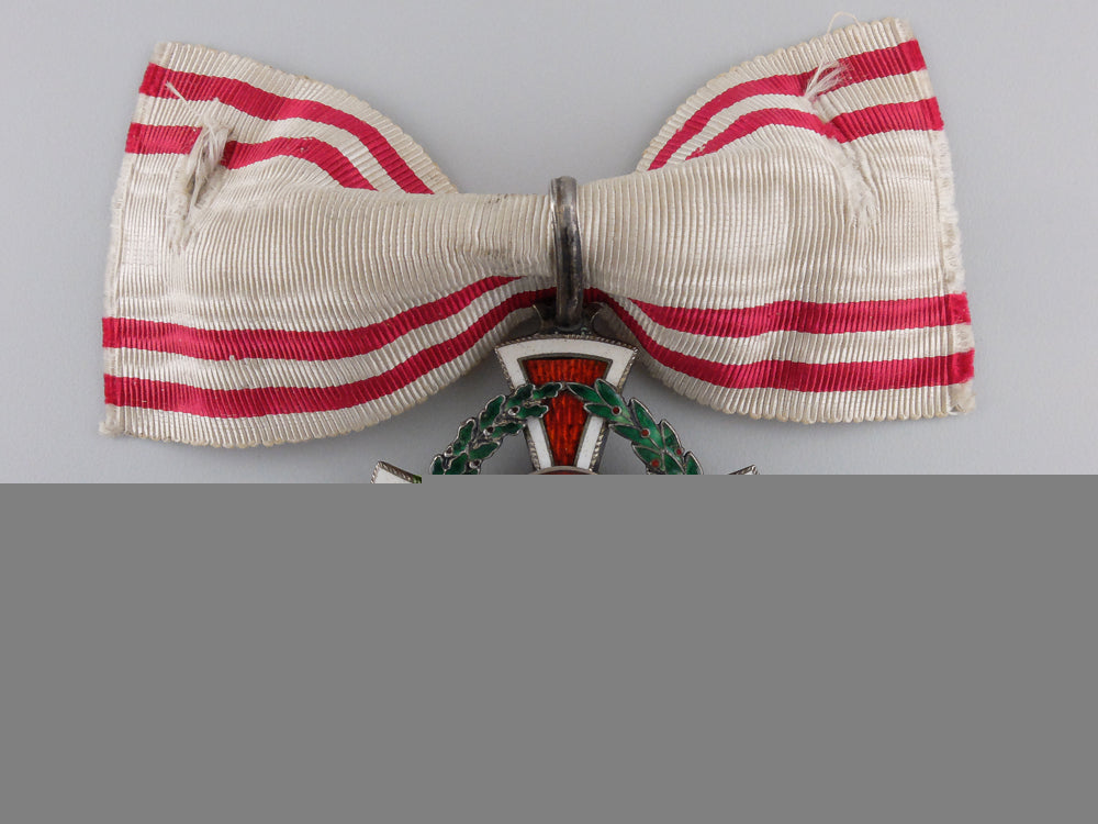 austrian_awards_to_plm_recipient_paulus_von_stolzmann_img_02.jpg551affa550a84