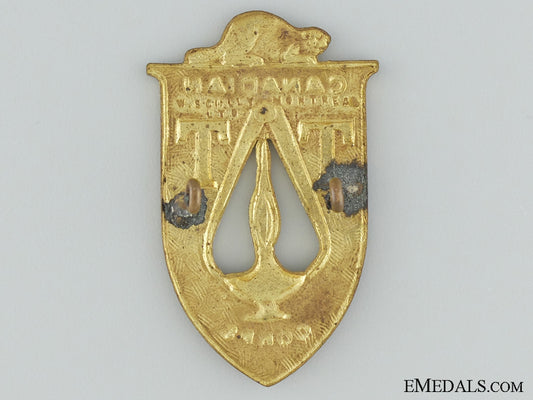 wwii_canadian_technical_training_corps_cap_badge_img_02.jpg53738ecd141f9