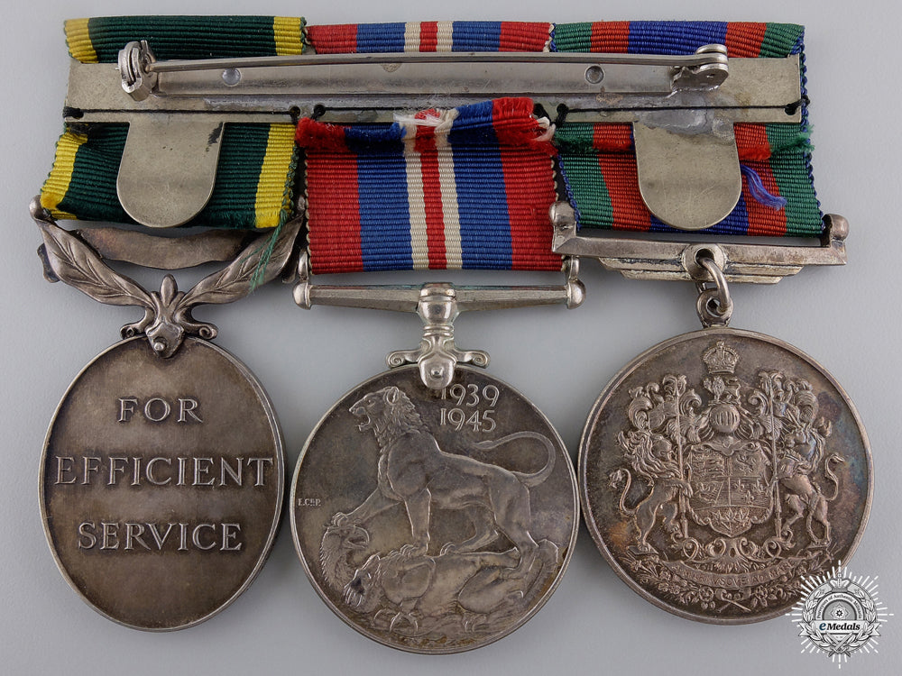 a_second_war_canadian_efficiency_medal_bar_img_02.jpg54c94c9639c2f