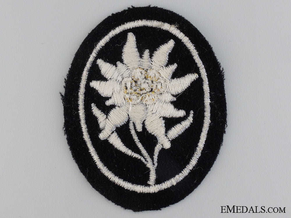 a_mint_ss_gebirgstruppen_insignia/_badge_img_02.jpg546a39b3760db