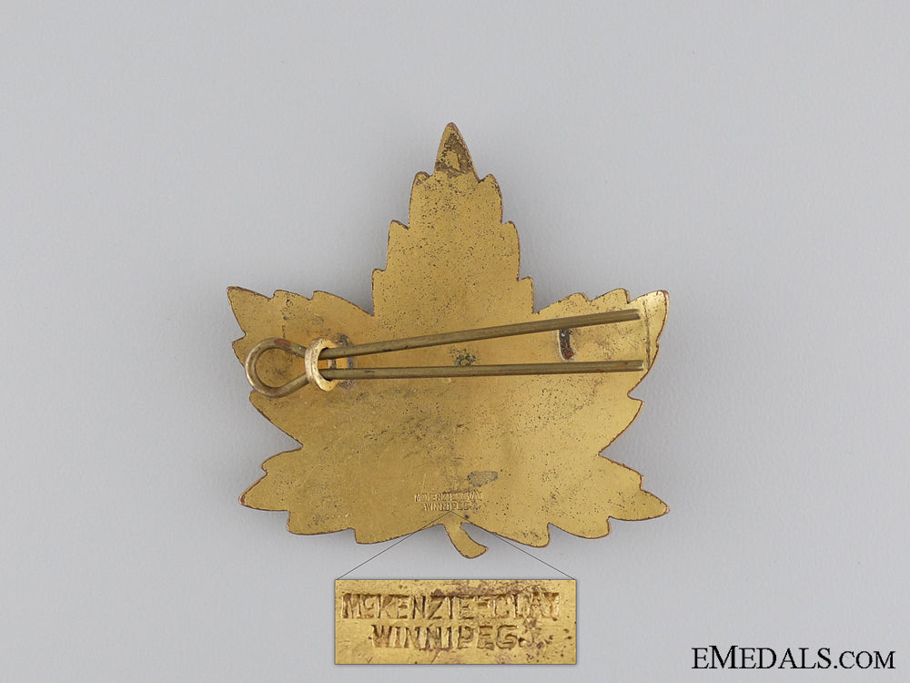 a_second_war_elementary_flying_school_cap_badge_img_02.jpg542b153e4ffb3