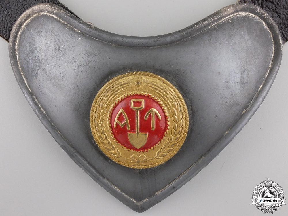 a_second_war_norwegian_labor_service"_arbeidstjensten"_gorget_img_02.jpg558572b501dfd_1_1