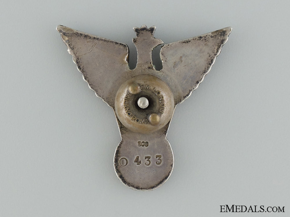 a_polish_wwii_regimental_badge_img_02.jpg5395bb3d2c9c6