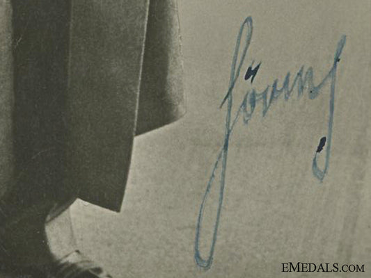 an_early1933_hermann_göring_signature_img_02.jpg531f4dd78ac57