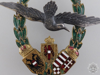 a_rare_first_war_austrian_marine_pilot_badge;_type_ii_img_02.jpg54735c696d699