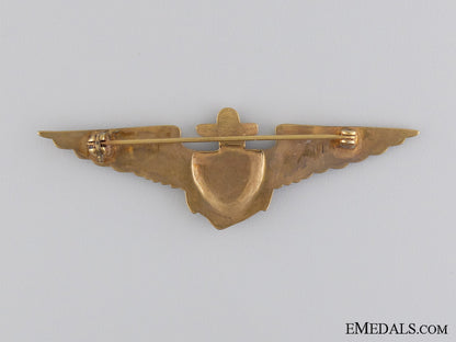 a1930'_s_american_navy_fighter_pilot_tests_badge_img_02.jpg5409cf03c6a8d