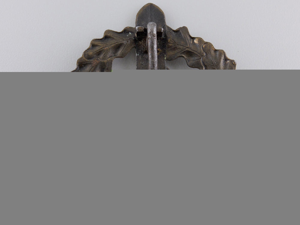 a_bronze_grade_sa_defense_badge_by_fechler_img_02.jpg55acf88664efc