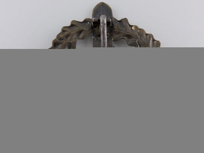 a_bronze_grade_sa_defense_badge_by_fechler_img_02.jpg55acf88664efc