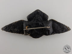 A Second War British Naval Aviator Wing