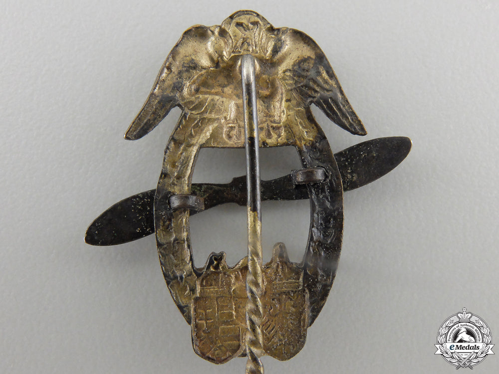 an_austro_hungarian_aviation_association_combat_pilot's_wing_badge_stickpin_img_03.jpg55c4e41ee3c5e