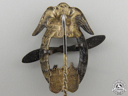 an_austro_hungarian_aviation_association_combat_pilot's_wing_badge_stickpin_img_03.jpg55c4e41ee3c5e