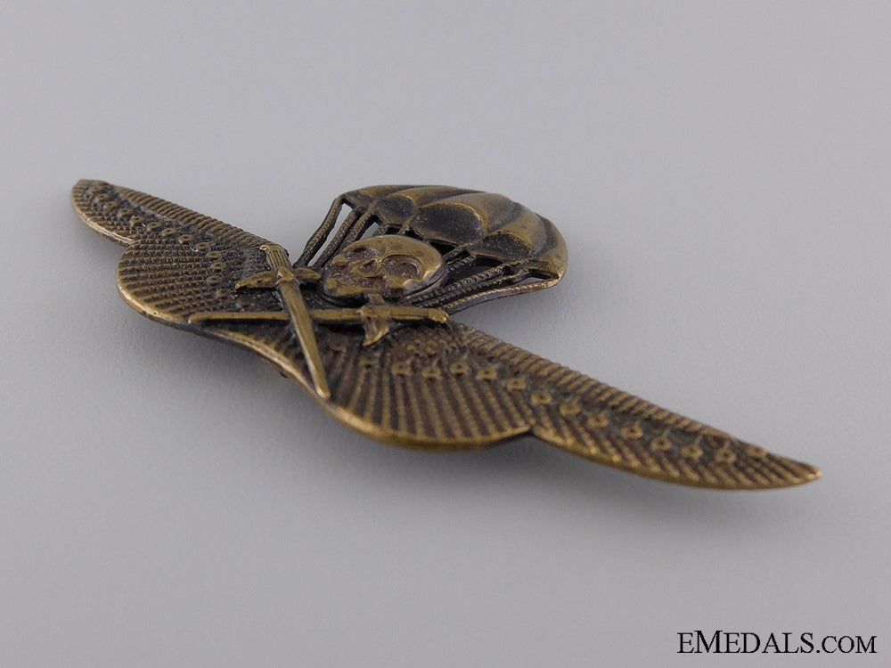 a_rare_wwii_hungarian_paratrooper’s_badge_img_03.jpg543309efa907b