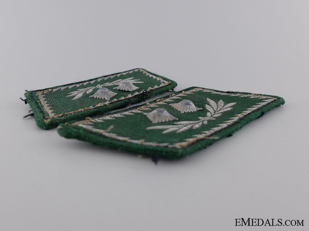 customs_official_shoulder_boards_and_collar_tabs_img_03.jpg54187dcb97279
