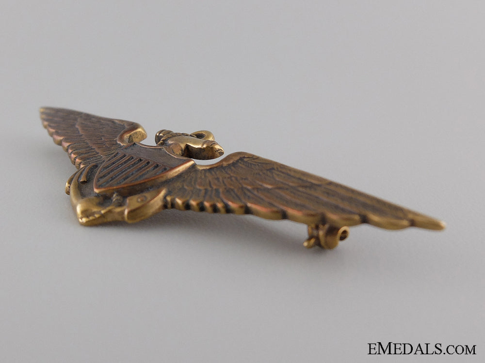 a1930'_s_american_navy_fighter_pilot_tests_badge_img_03.jpg5409cf0bf114b