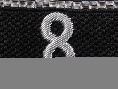 an_allgemeine-_ss_standarte”8”_cufftitle;_rzm_tags_img_03.jpg55157b185b545