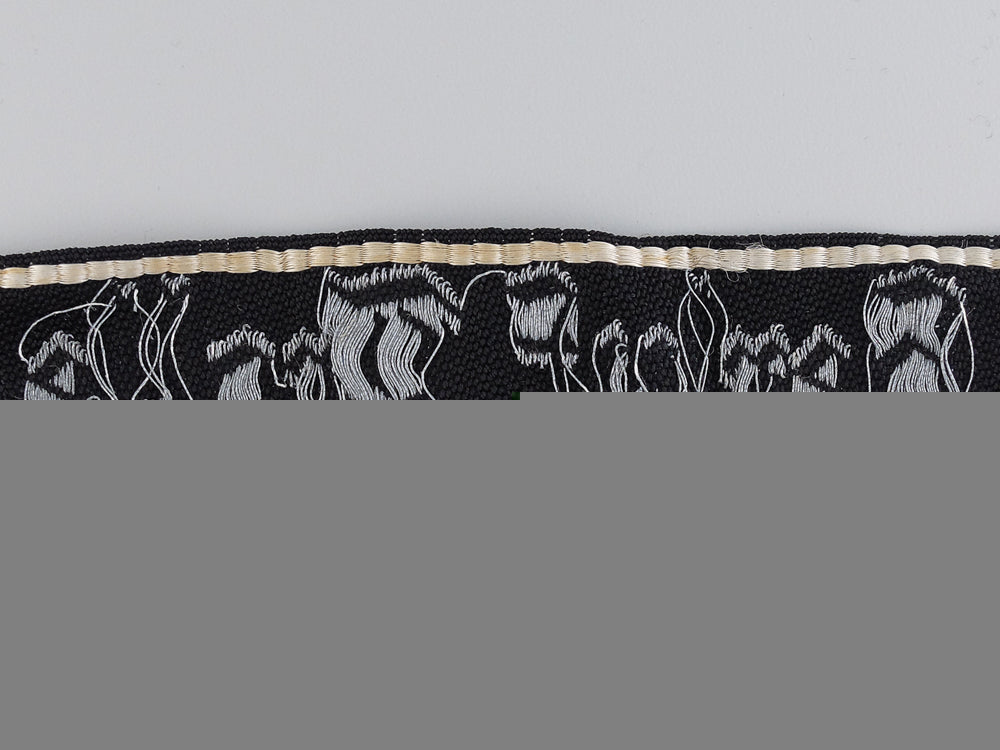 a_danish_schalburg_corps_company_cufftitle;_herluf_trolle2650_img_03.jpg544aa04f1579b