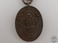 An 1881 Argentinian Rio Negro And Patagonia Medal