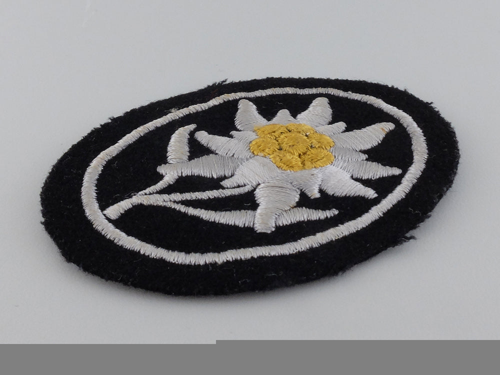 a_mint_ss_gebirgstruppen_insignia/_badge_img_03.jpg546a39ba54786