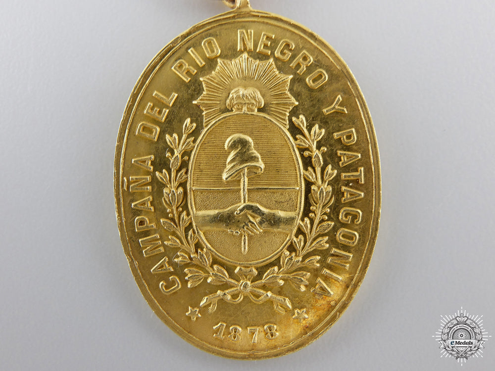 a_gold_rio_negro_and_patagonia_campaign_medal_img_03.jpg54dccc73b7d86
