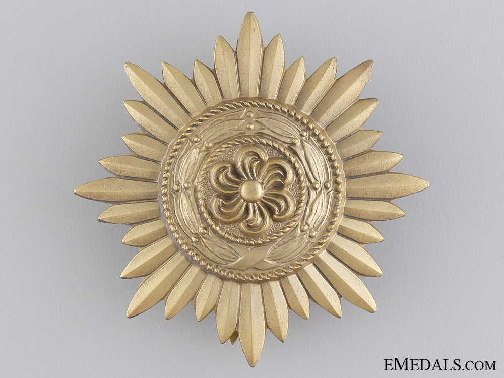 a_gold_grade_ostvolk_decoration_for_merit_on_the_eastern_front_img_04.jpg544bb4d2a3d36