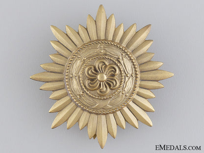 a_gold_grade_ostvolk_decoration_for_merit_on_the_eastern_front_img_04.jpg544bb4d2a3d36