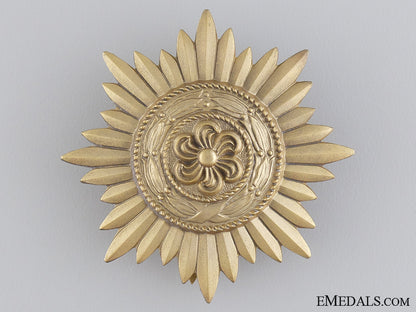 a_gold_grade_ostvolk_decoration_for_merit_on_the_eastern_front_img_04.jpg544bb4d2a3d36