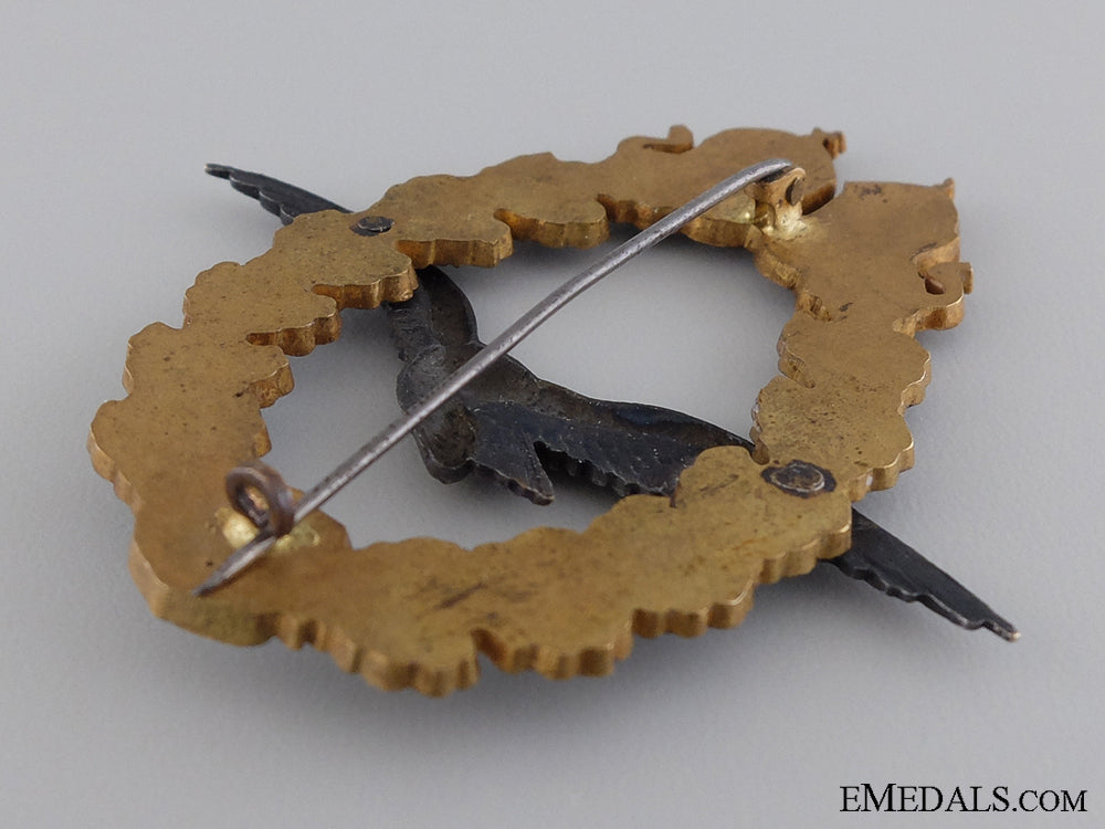 a_first_war_austrian_pilot's_badge_img_04.jpg5446583e7dca4
