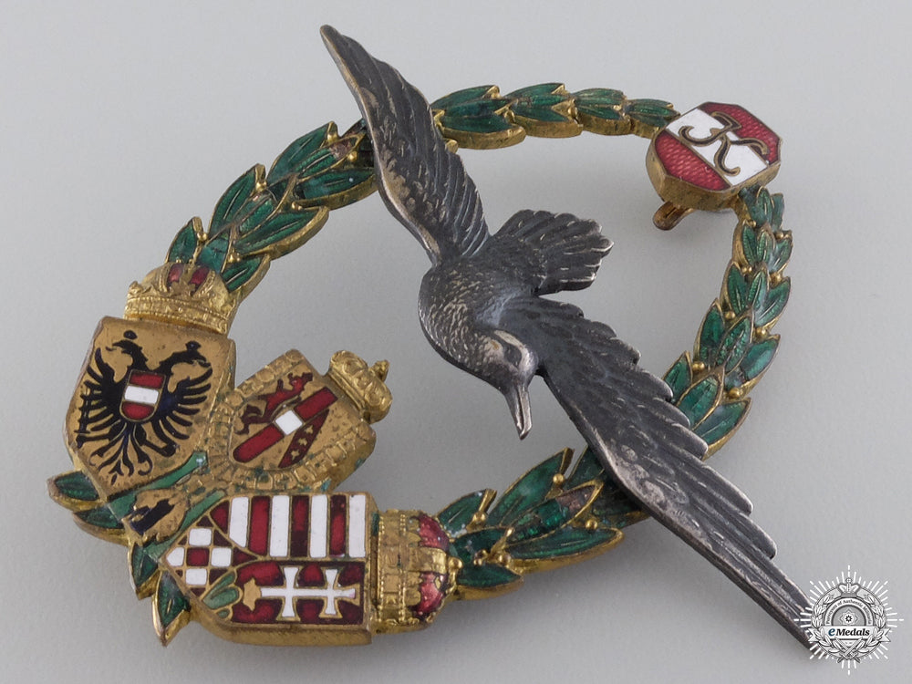 a_rare_first_war_austrian_marine_pilot_badge;_type_ii_img_04.jpg547359cd0813a