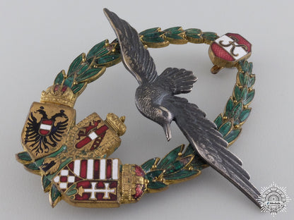 a_rare_first_war_austrian_marine_pilot_badge;_type_ii_img_04.jpg547359cd0813a