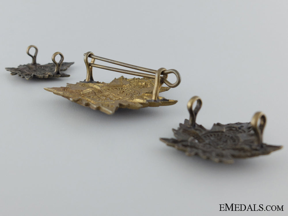 wwi2_nd_quebec_regiment_cap_badge&_collar_insignia_cef_img_04.jpg537275c65e37f