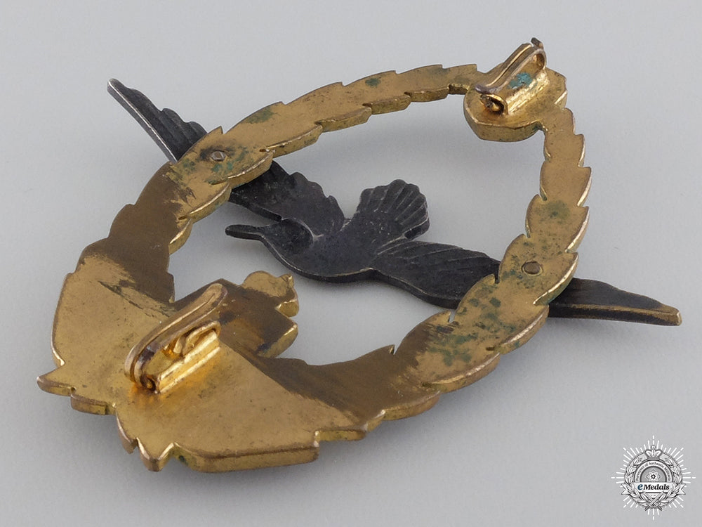a_rare_first_war_austrian_marine_pilot_badge;_type_ii_img_05.jpg547359d38e678