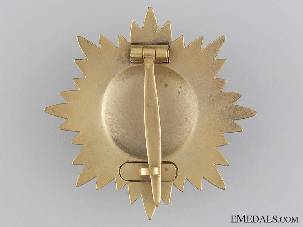 a_gold_grade_ostvolk_decoration_for_merit_on_the_eastern_front_img_05.jpg544bb4db5cc5f