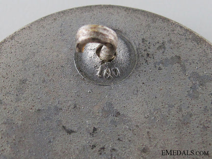 wound_badge;_silver_grade_img_06.jpg534d303e1204e