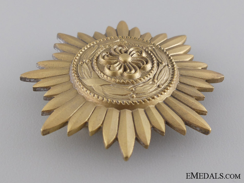 a_gold_grade_ostvolk_decoration_for_merit_on_the_eastern_front_img_06.jpg544bb4e30aa7f