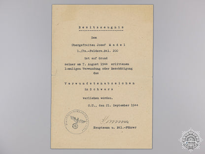 a_medal&_award_document_group_to_the_reserve_panzer_regt._img_06.jpg54bfd07cac9c0