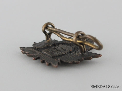 wwi_canadian_army_dental_corps_collar_tab_img_0787