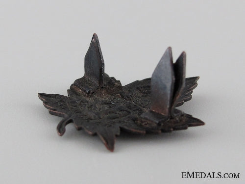 wwi62_nd_infantry_battalion_collar_tab_cef_img_0809