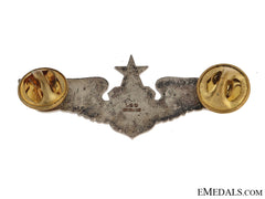 Senior Navigator/Observer Wings
