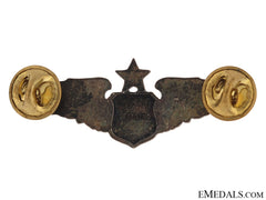 Senior Flight Surgeon Wings