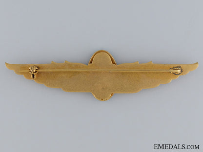 an_argentinian_air_force_wing;_unmarked_img_09.jpg53a0741e6dac6