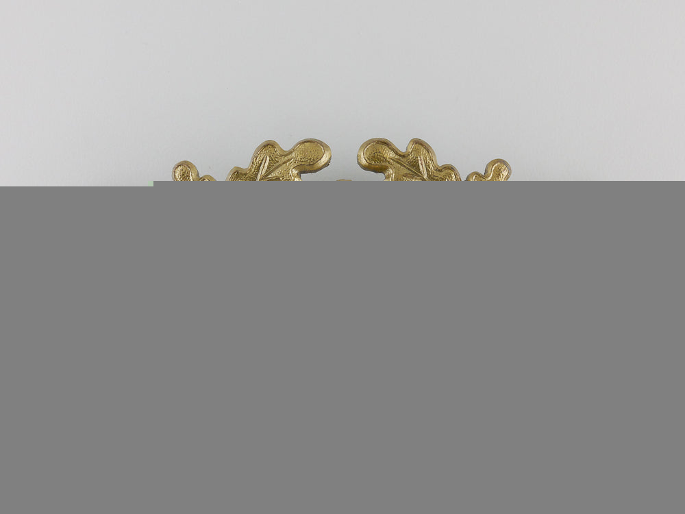 a_daf(_deutsches_arbeits_front)_visor_insignia_img_09.jpg55d4c92b86a80