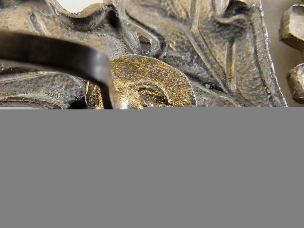 a_daf(_deutsches_arbeits_front)_visor_insignia_img_11.jpg55d4c93aa72db