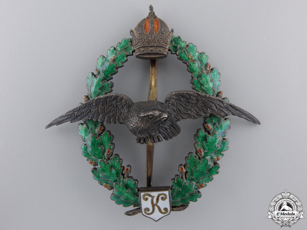 a_superb_first_war_aviation_grouping_to_austrian_hauptmann_img_11.jpg5511850aaeef8