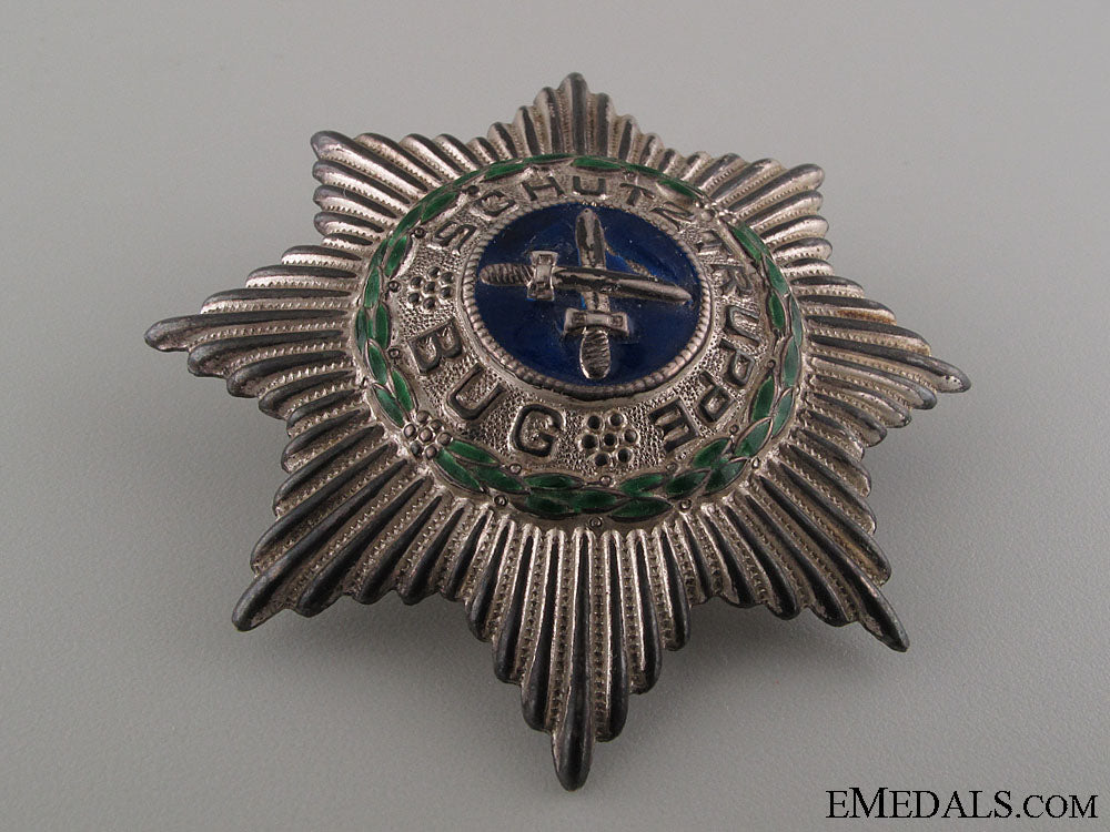freikorps_bug_star_img_1219_copy