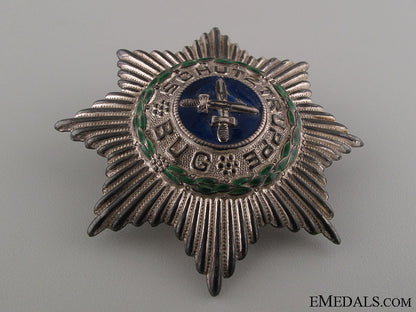 freikorps_bug_star_img_1219_copy